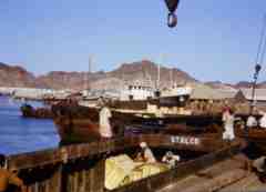 انقر للحصول على حجم اكبر